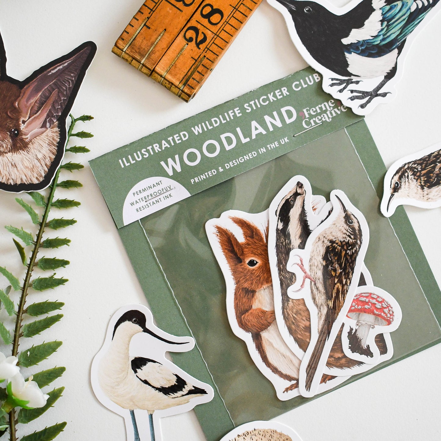 Woodland-themed sticker set with a ruler and nature-themed items on a white surface