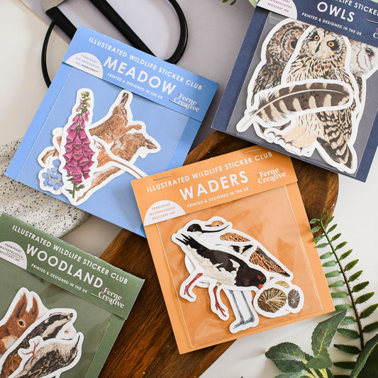 Set of nature-themed sticker books on a wooden surface with plants around