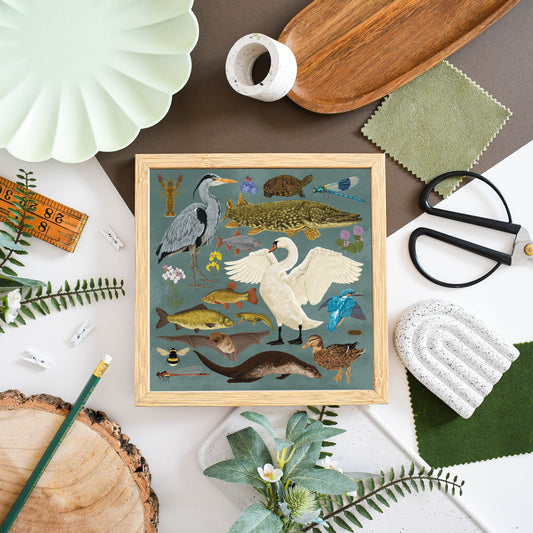 British Waterway Wildlife Print