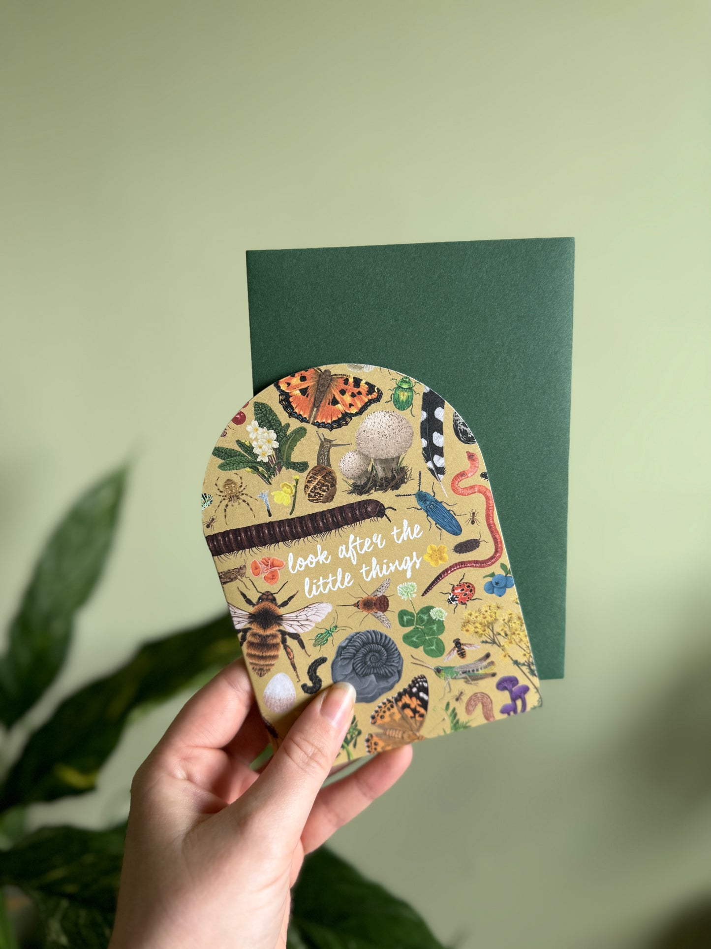 'Look After The Little Things' Greetings Card