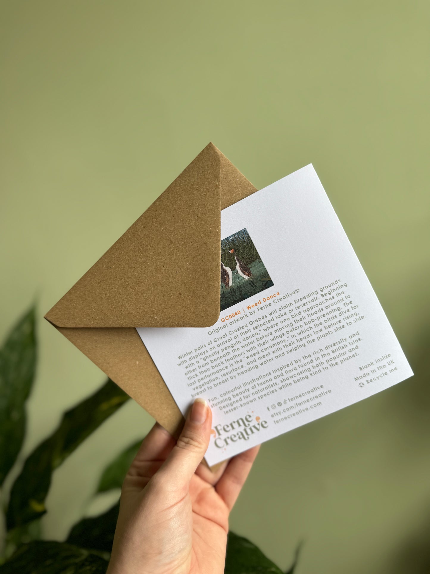 Great Crested Grebe 'Weed Dance' Illustrated Card