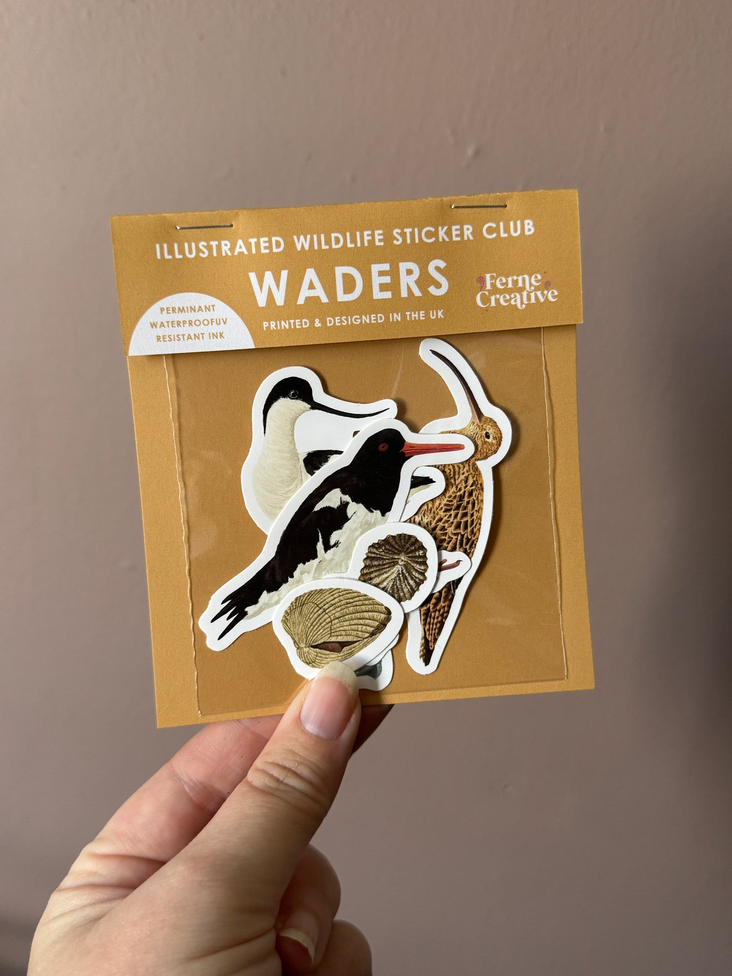 British Wildlife Sticker Subscription