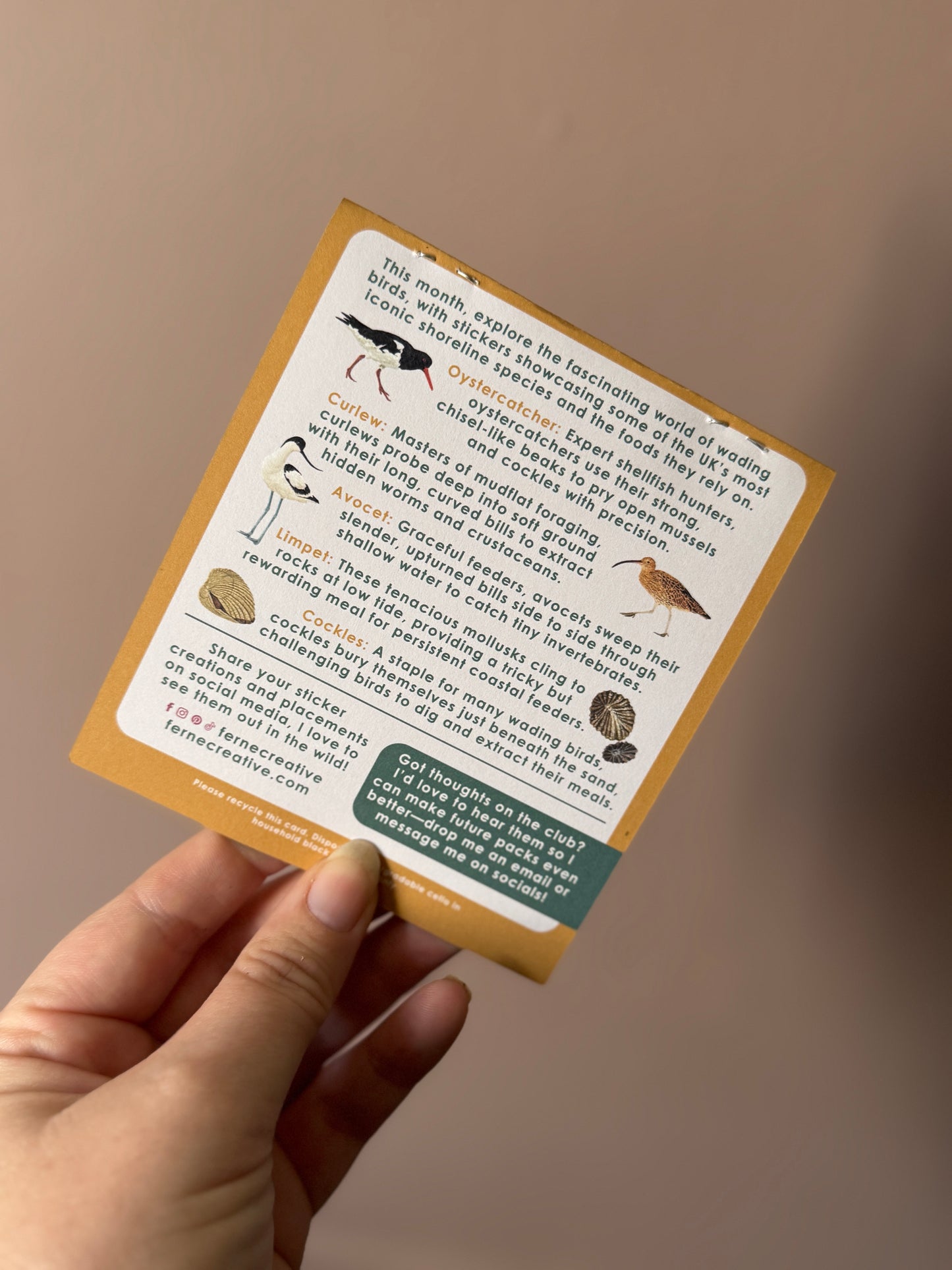 British Wildlife Sticker Subscription