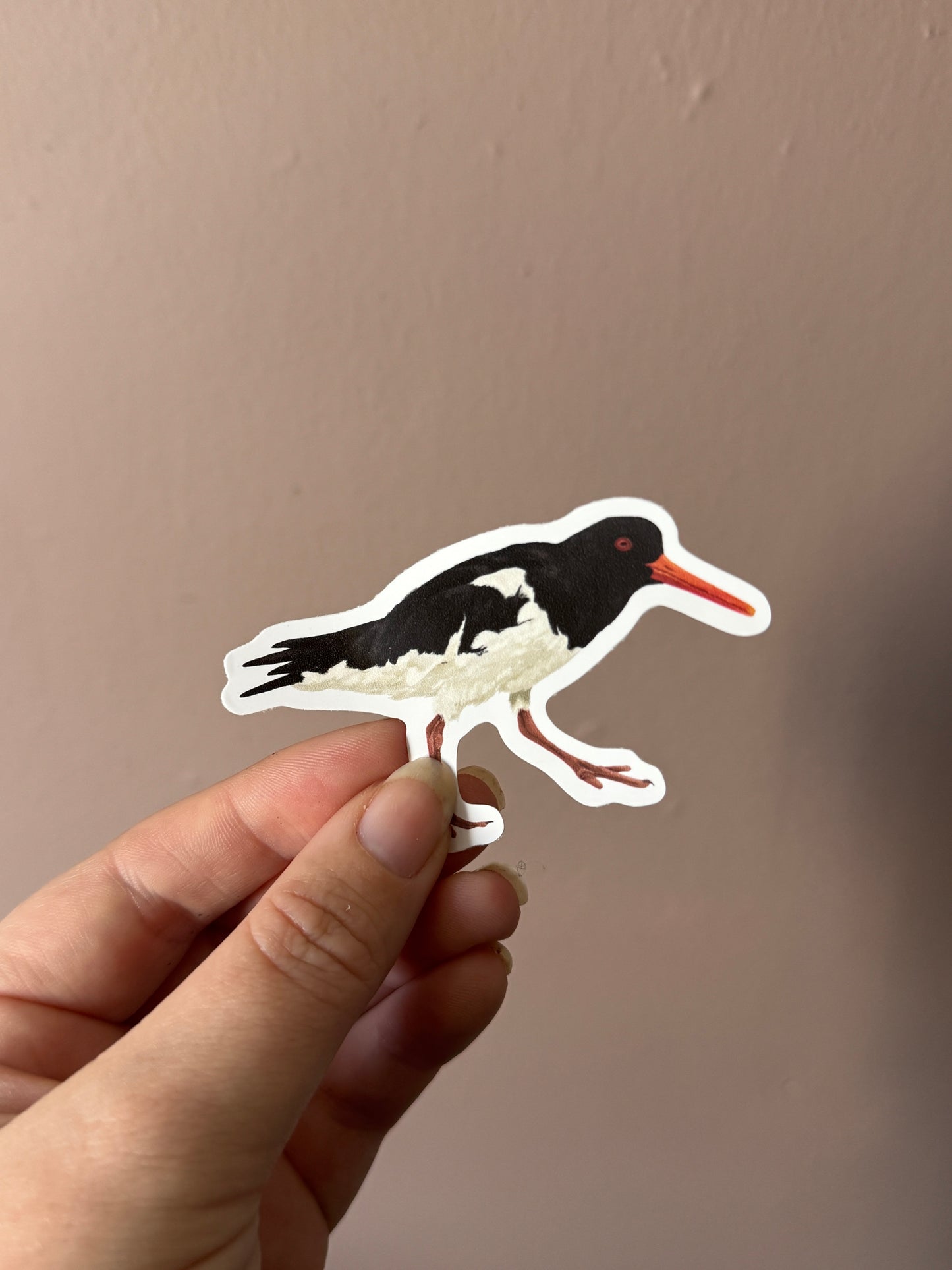 British Wading Birds Sticker Pack - March Edition