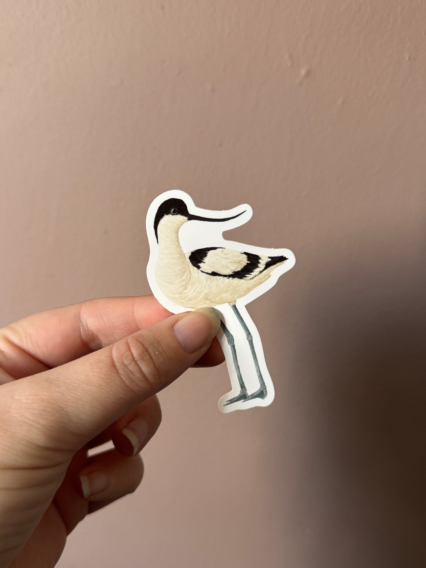 British Wading Birds Sticker Pack - March Edition