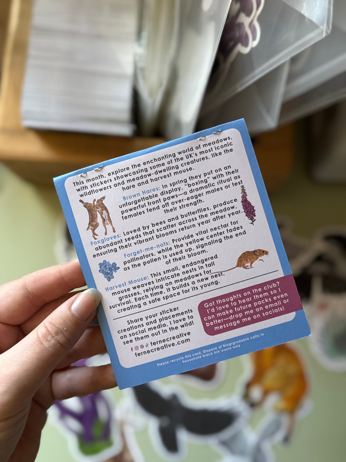 British Meadow Wildlife Sticker Pack - April Edition