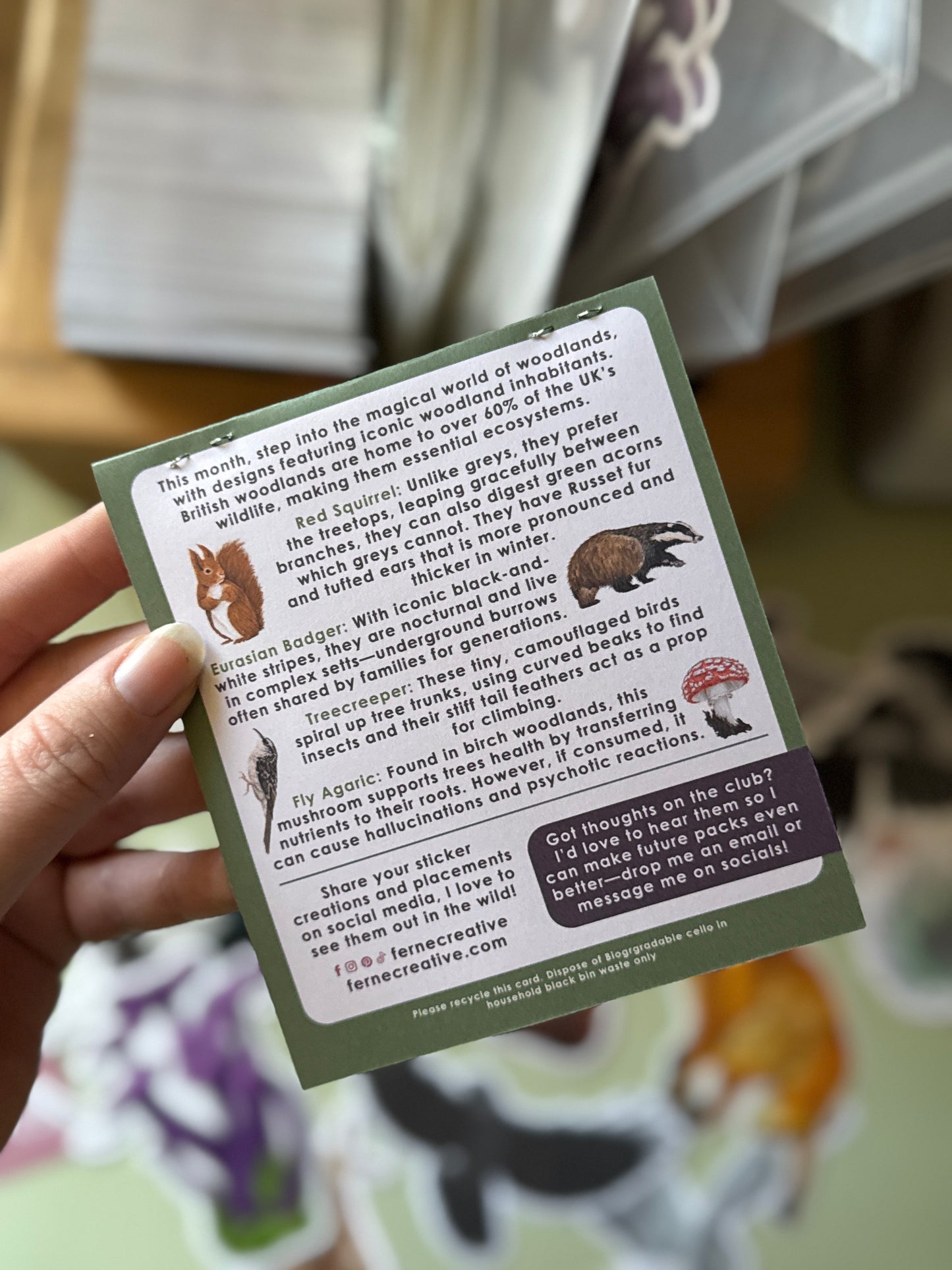 British Woodland Wildlife Sticker Pack - May Edition