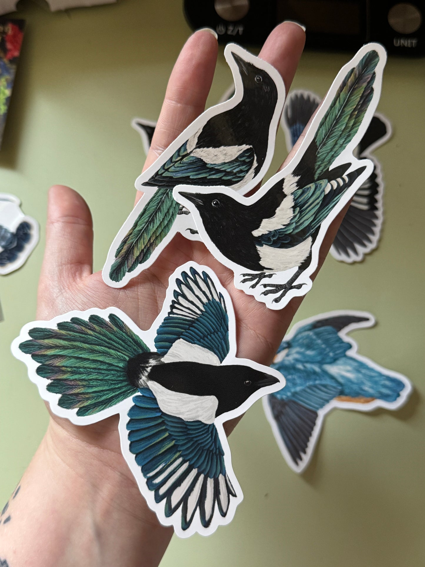 Magpie Vinyl Sticker Bundle