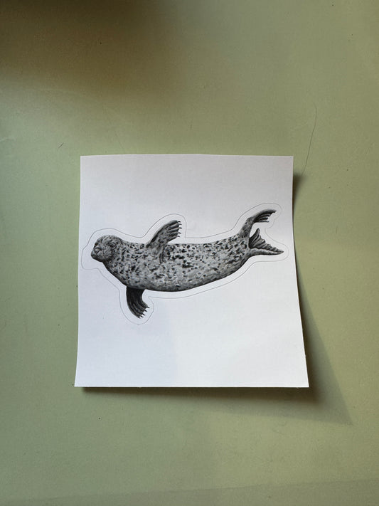 Grey Seal Vinyl Sticker