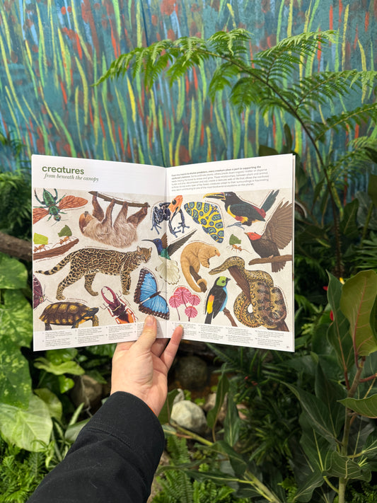Beneath the Canopy – Limited Edition Illustrated Zine