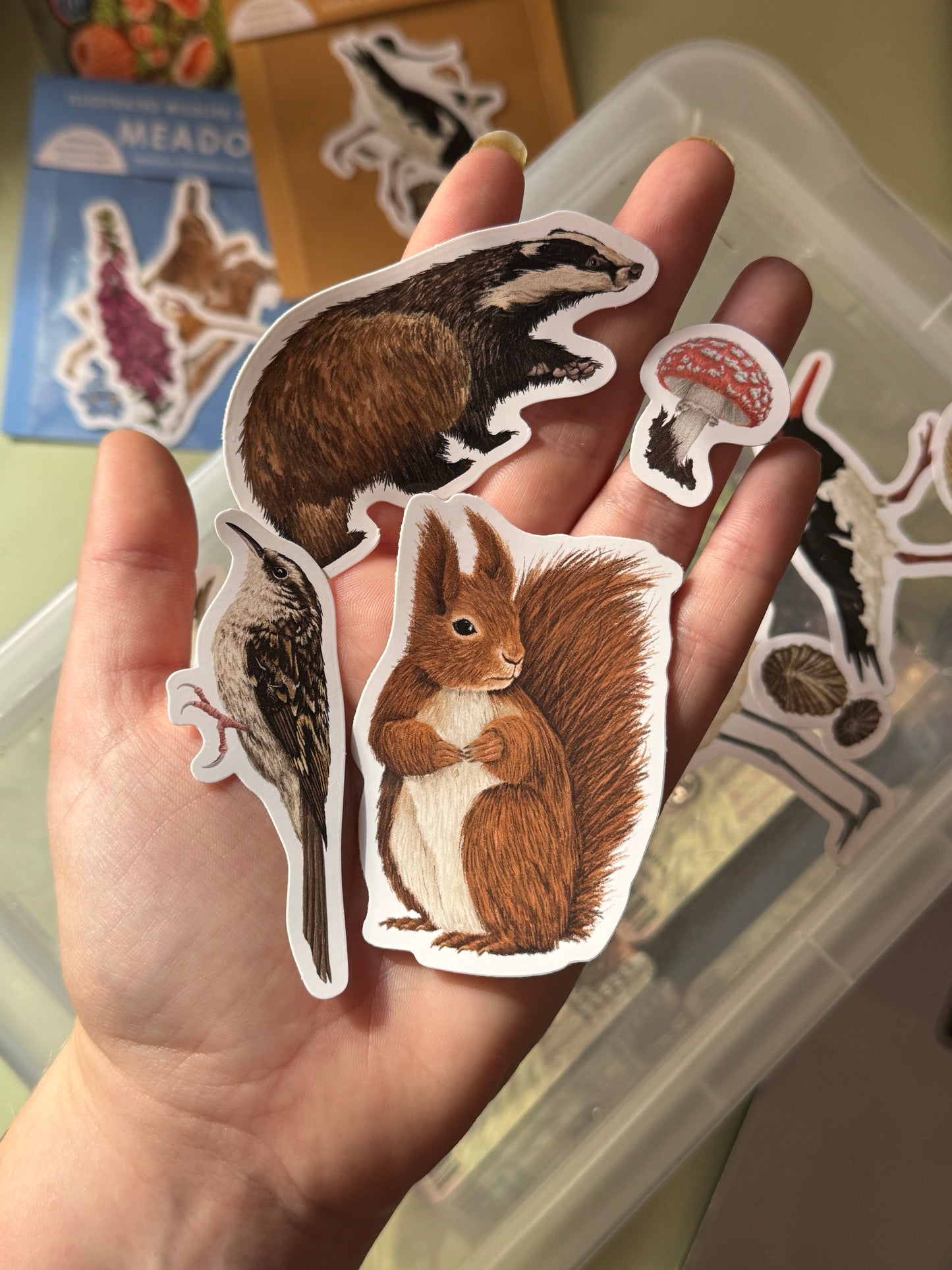 British Woodland Wildlife Sticker Pack - May Edition