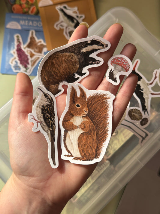 British Woodland Wildlife Sticker Pack - May Edition