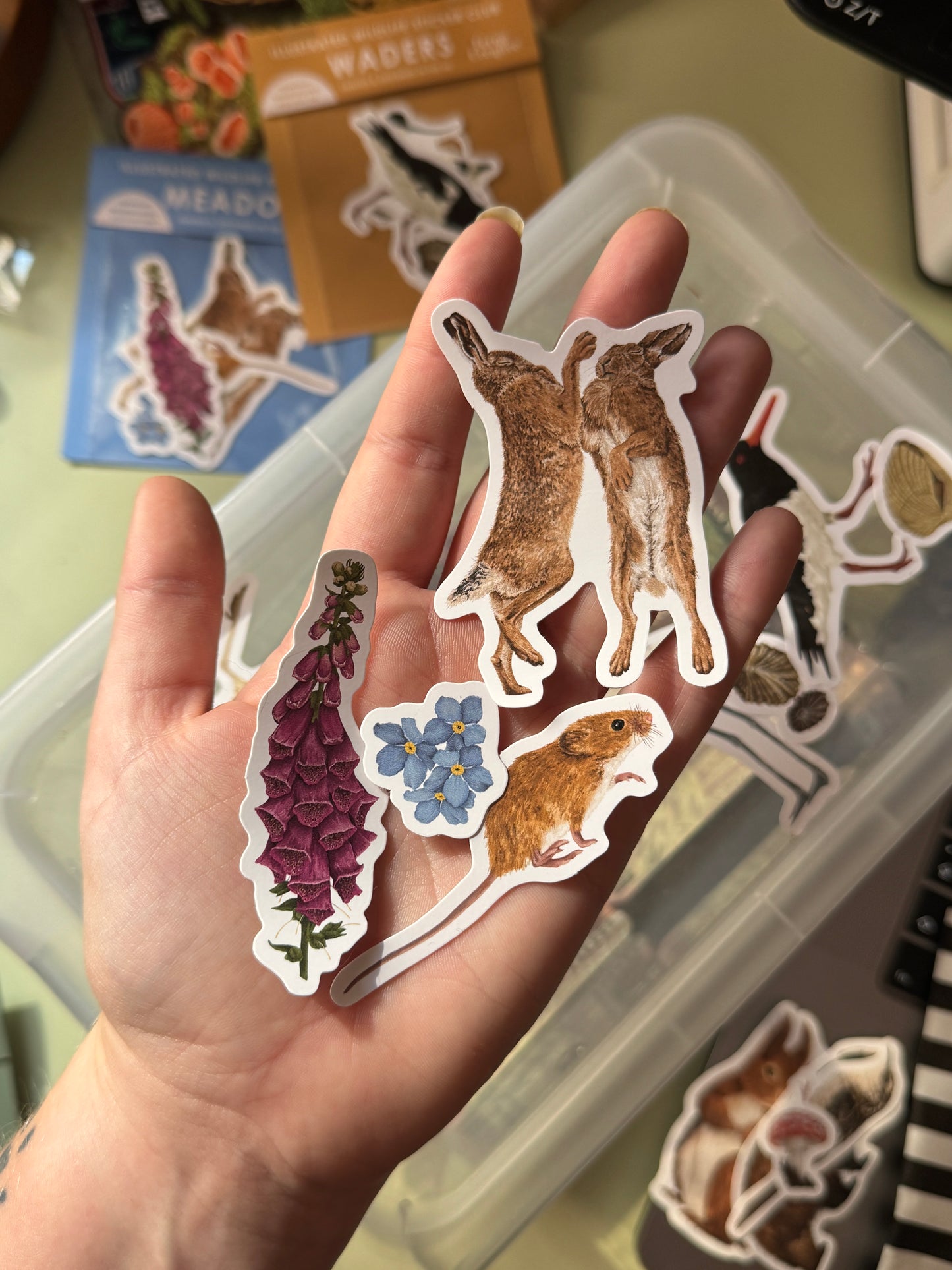 British Meadow Wildlife Sticker Pack - April Edition