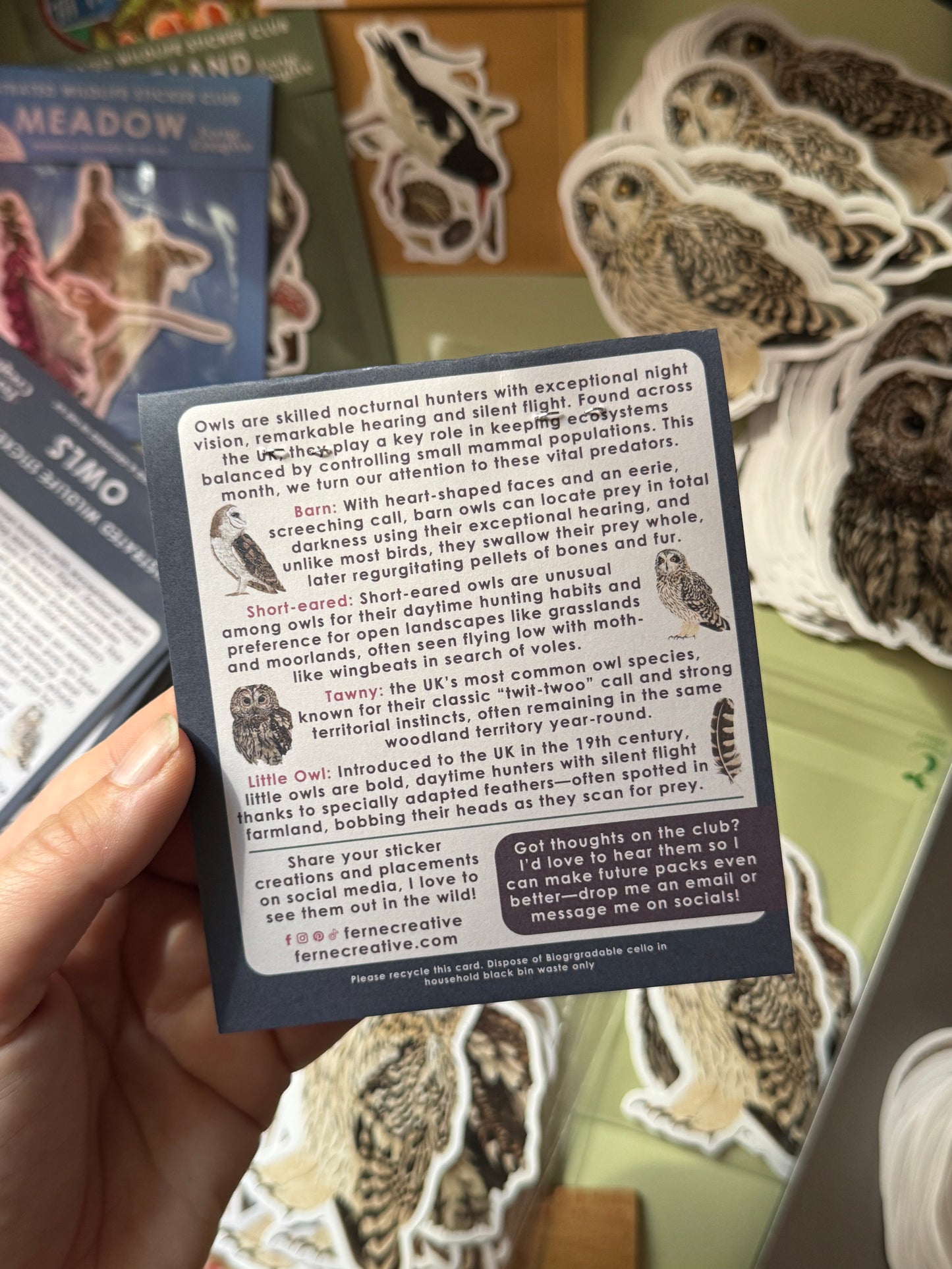British Owl Sticker Pack - June Edition