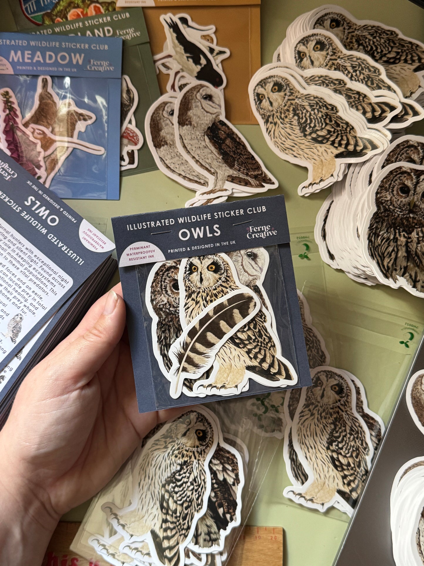 British Owl Sticker Pack - June Edition