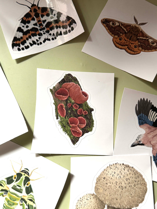 Stickerbogen Mystery-Paket