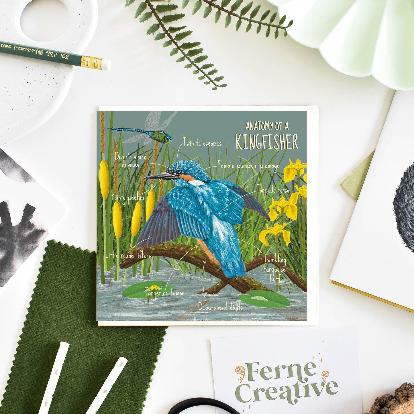 'Anatomy of a kingfisher' Greetings card