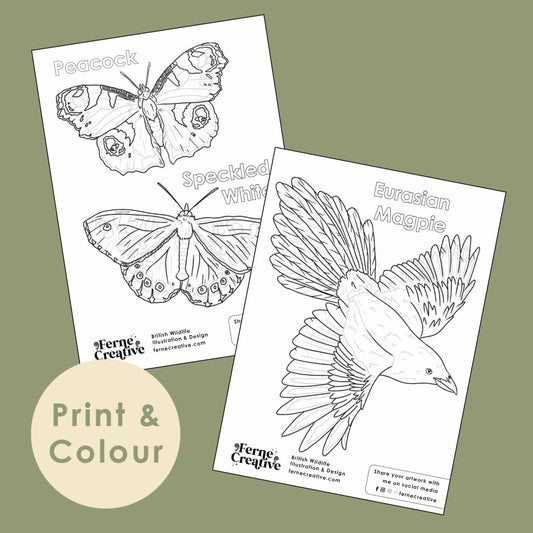 Free wildlife colouring pages