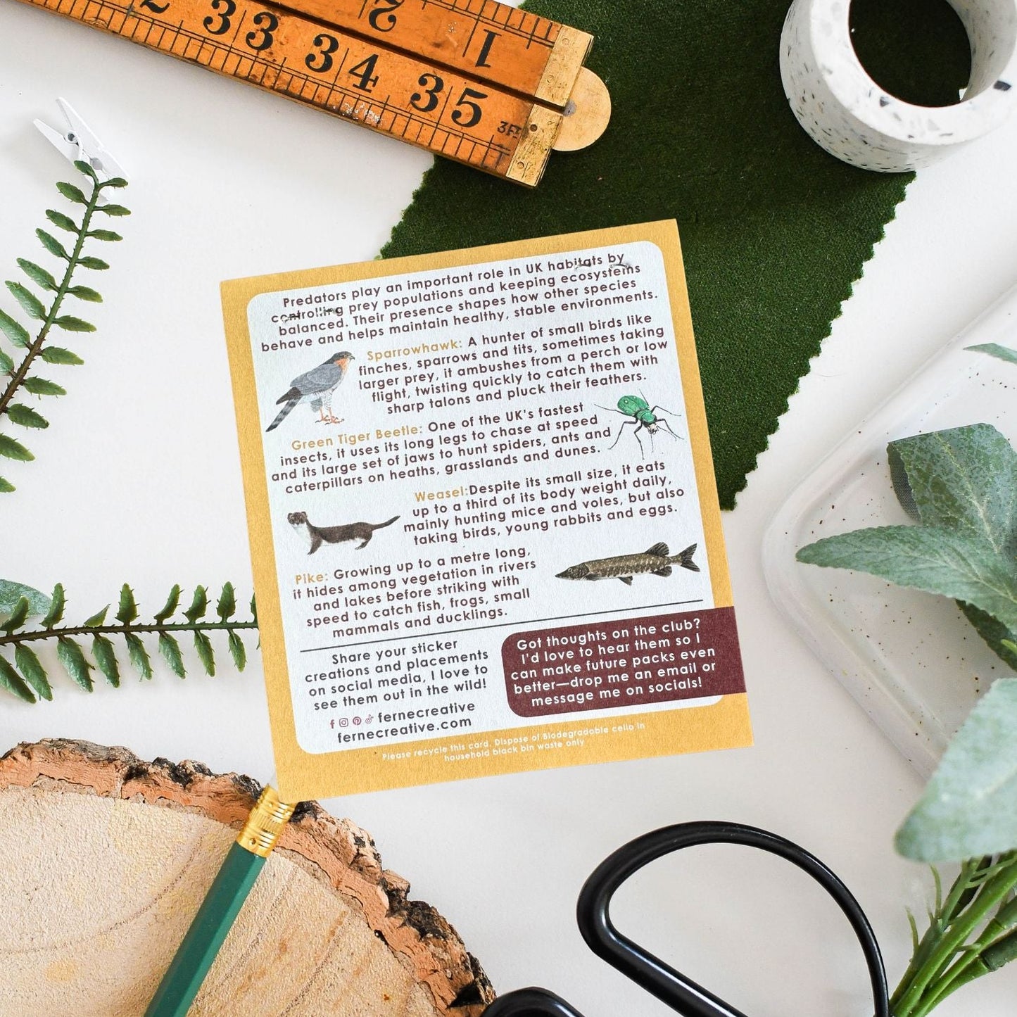 Sticker club backing card with nature-themed content on a white surface with greenery and tools.