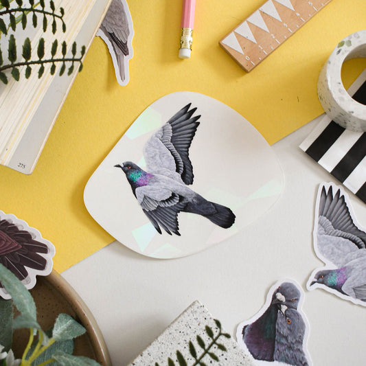 pigeon suncatcher decal on yellow background surrounded by pigeon stickers