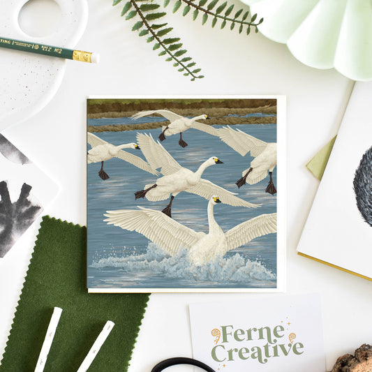 Bewick's Swan Greetings Card