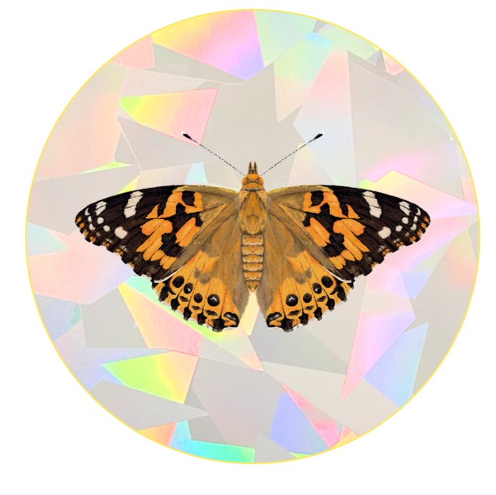 Painted Lady Butterfly Suncatcher Window Decal