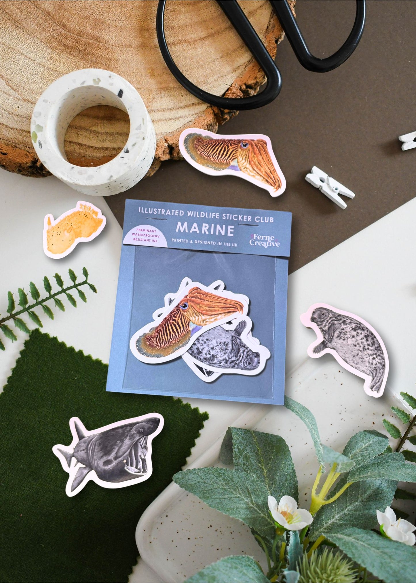 British Marine Wildlife Sticker Pack – July Edition