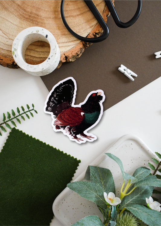 Male Capercaillie Vinyl Sticker