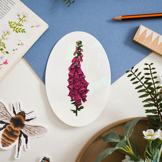 Wild foxgloves suncatcher window decal on blue background with stickers and flower guide