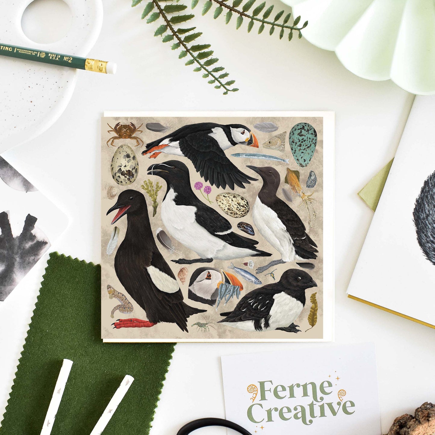 Auk Seabird Greetings Card