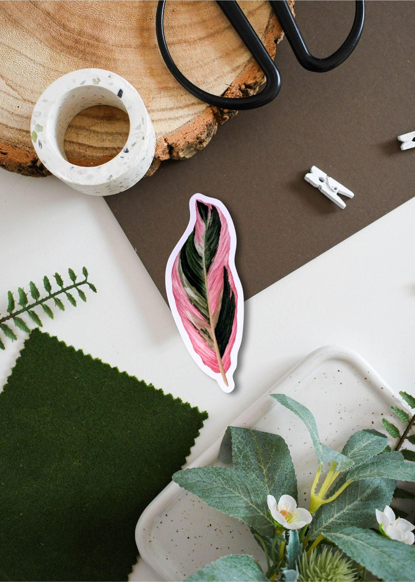 Stromanthe Sanguinea Triostar Vinyl Sticker – Tropical Plant Decal for Laptop, Water Bottle & Journal Decor