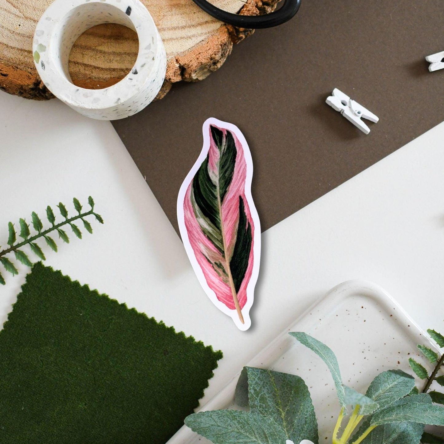 Stromanthe Sanguinea Triostar Vinyl Sticker – Tropical Plant Decal for Laptop, Water Bottle & Journal Decor