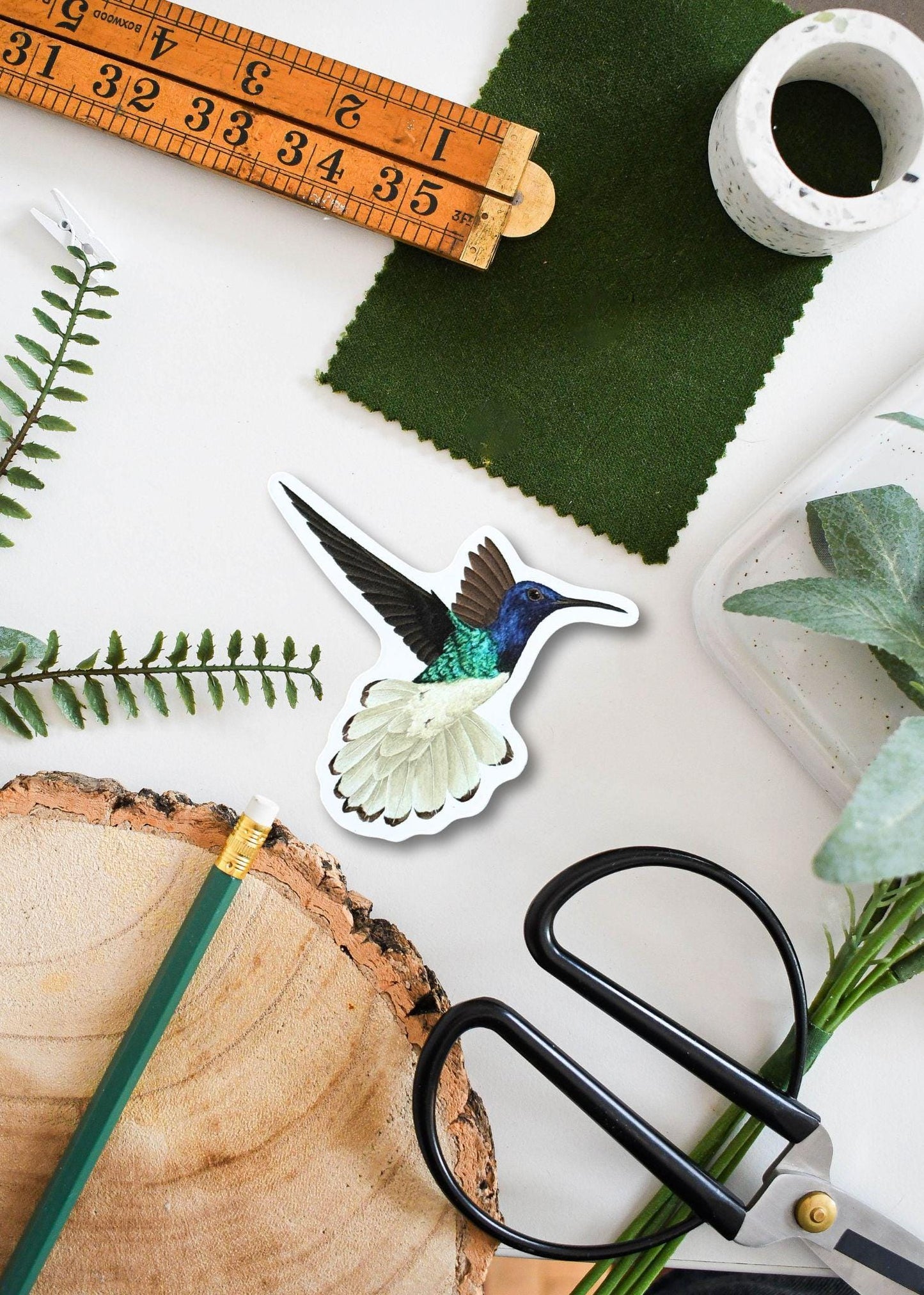 White-Necked Jacobin Vinyl Sticker