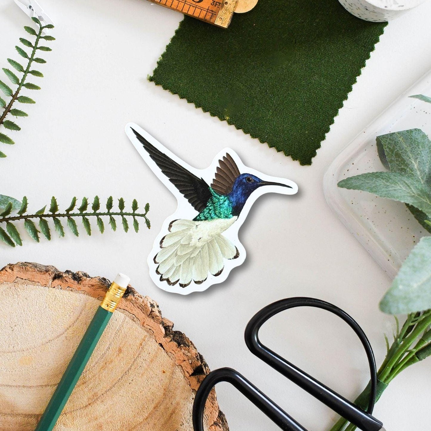 White-Necked Jacobin Vinyl Sticker