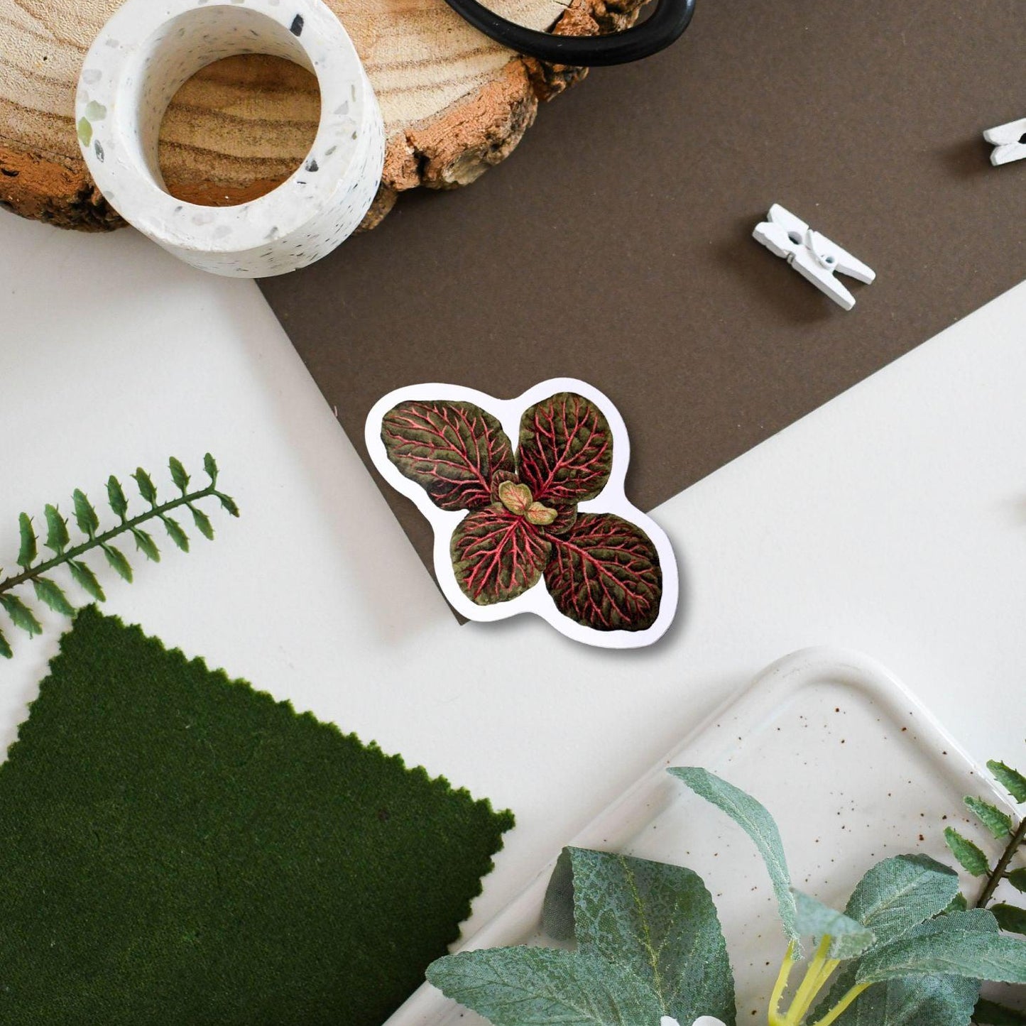 Fittonia Plant Vinyl Sticker, Waterproof Illustration Decal for Laptop, Planner & Water Bottle Decor