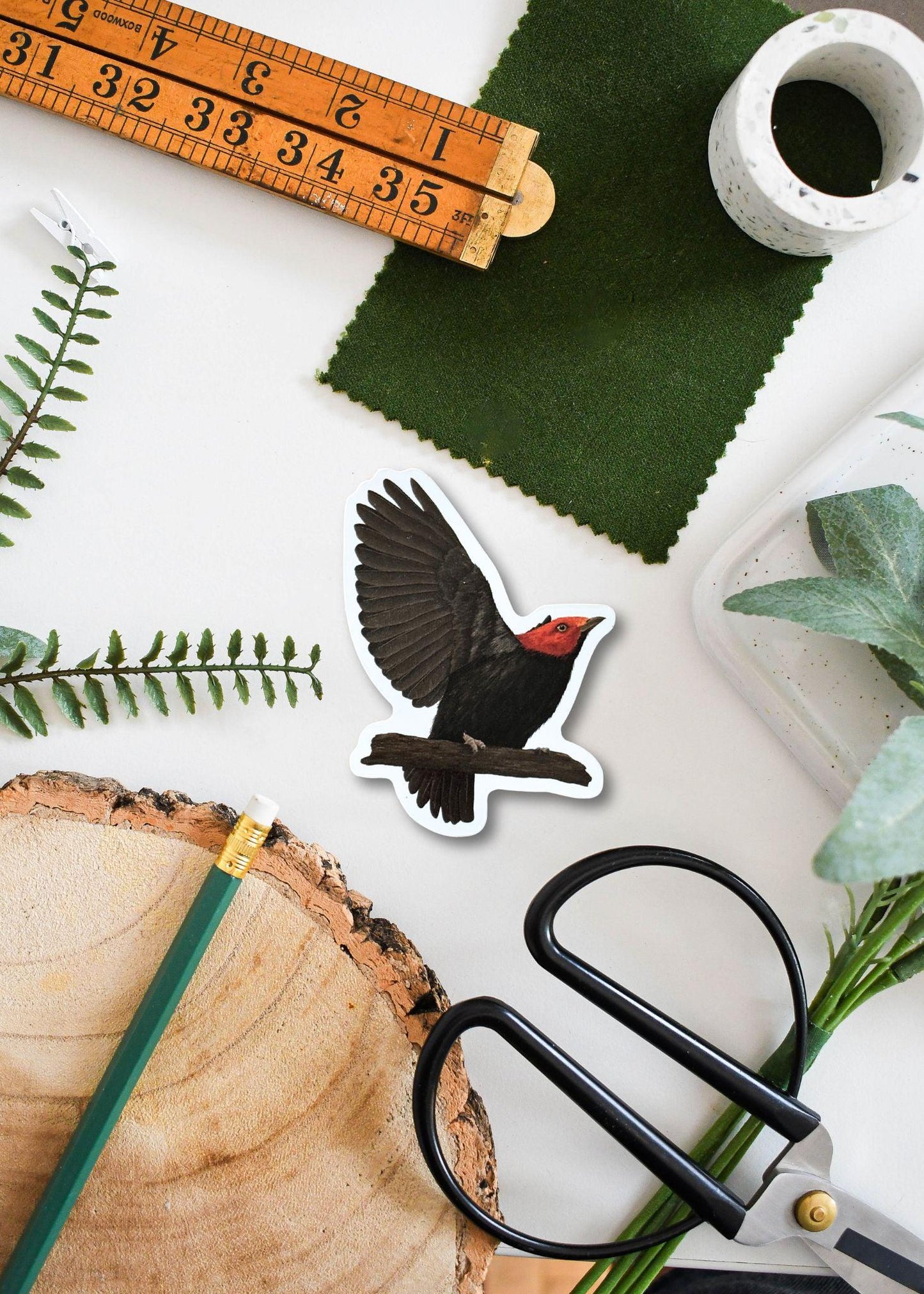 Red-headed Manakin Vinyl Sticker