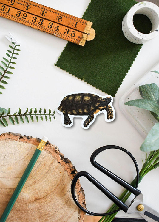 Yellow-Footed Tortoise Vinyl Sticker – Durable Waterproof Decal for Laptop, Water Bottle & Car – Reptile Lover Gift