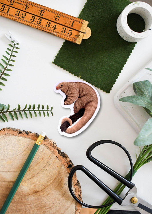 Silky Anteater Vinyl Sticker – Cute Animal Decal for Laptops, Water Bottles & Notebooks, Waterproof Durable Gift
