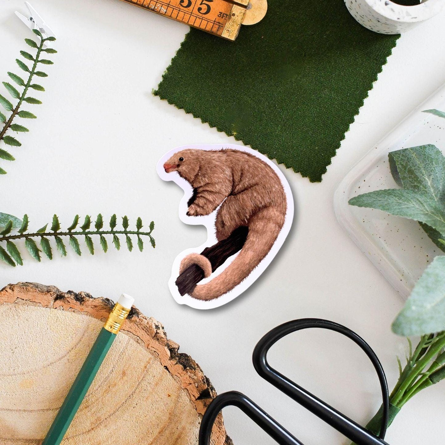 Silky Anteater Vinyl Sticker – Cute Animal Decal for Laptops, Water Bottles & Notebooks, Waterproof Durable Gift