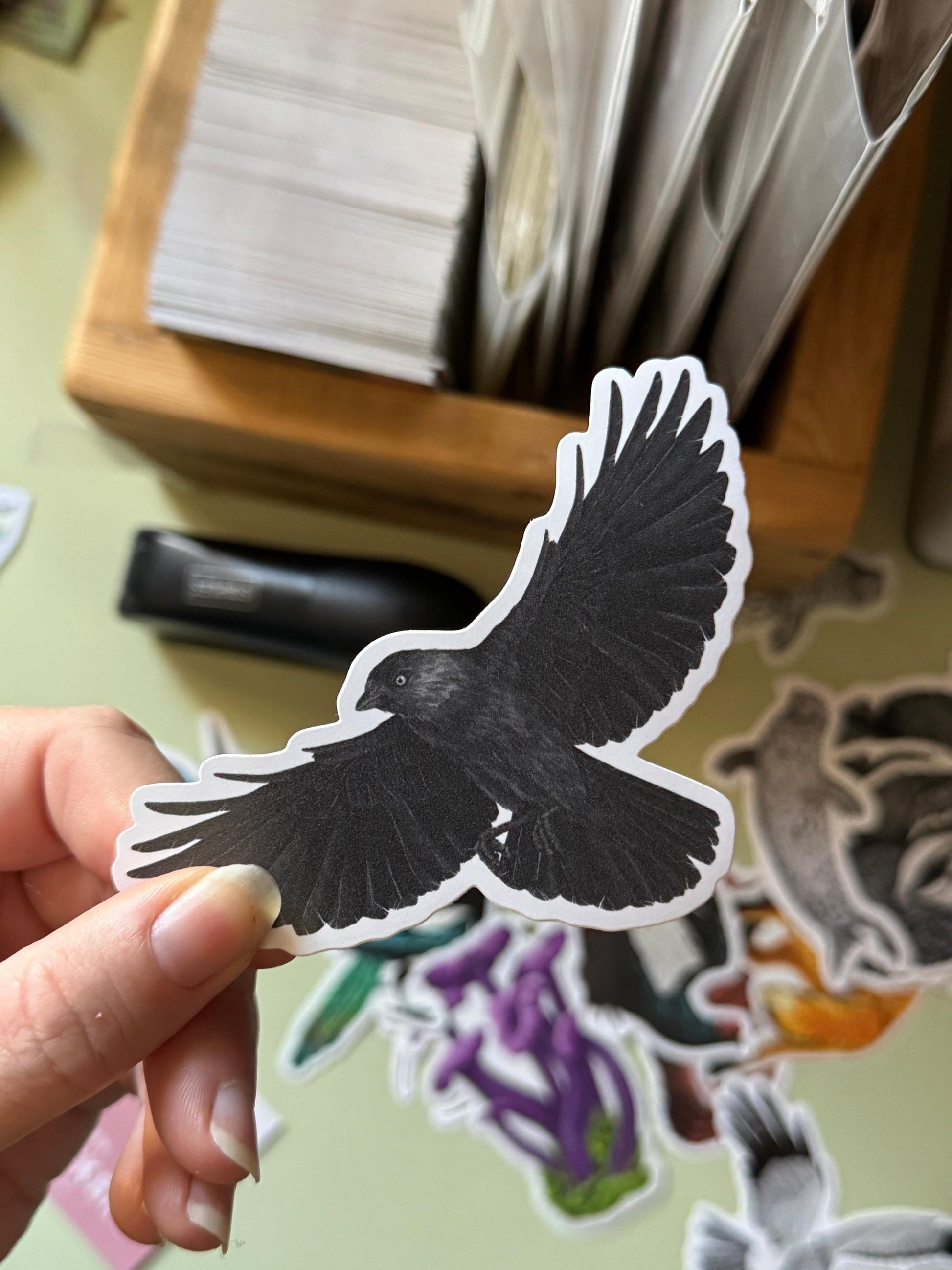 Jackdaw Corvid Vinyl Sticker - Weatherproof, Eco-Friendly, Custom Design for Laptops, Water Bottles & More