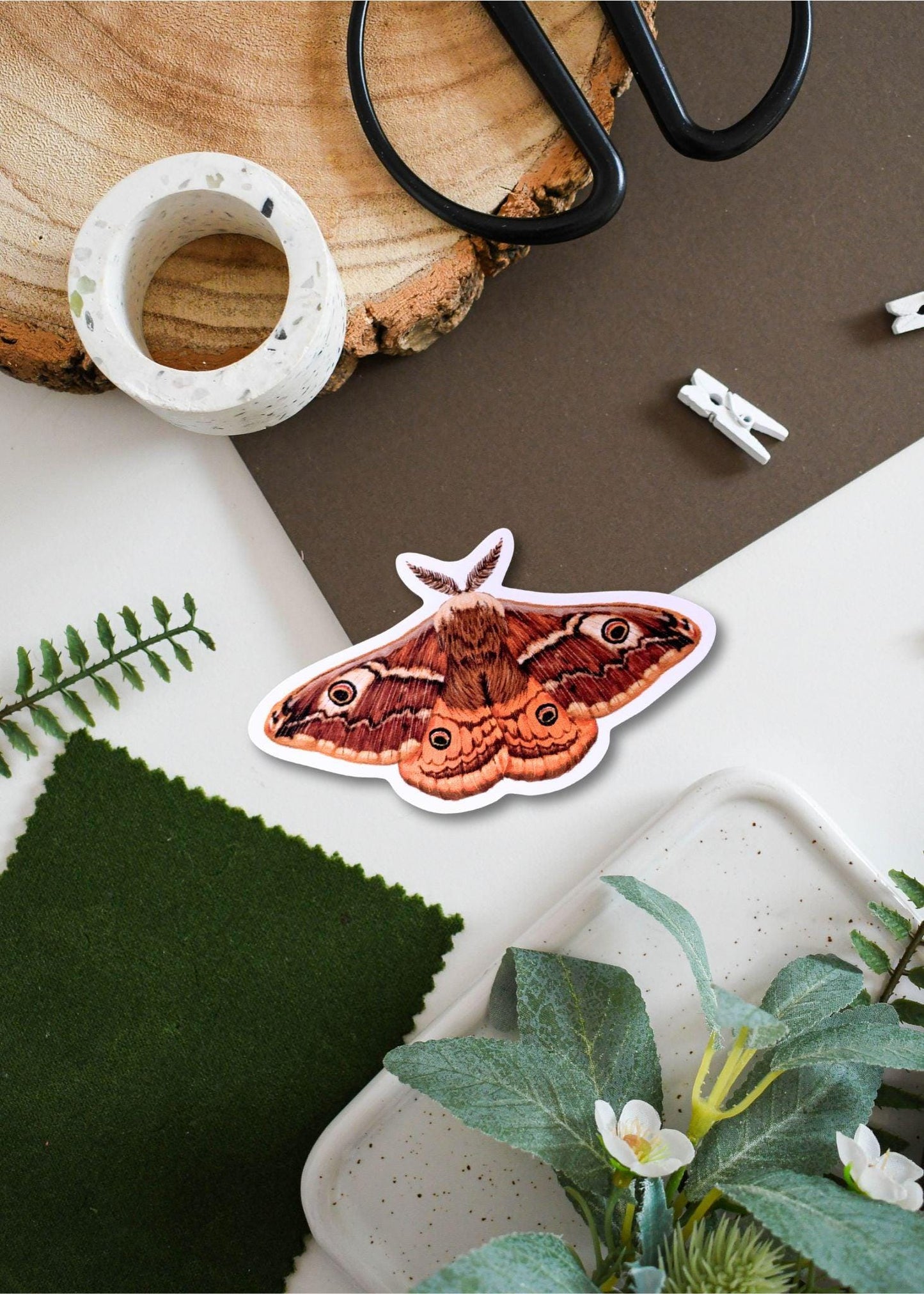Emperor Moth Vinyl Sticker | Aesthetic Insect Art Decal for Laptop, Water Bottle & Journal Decor