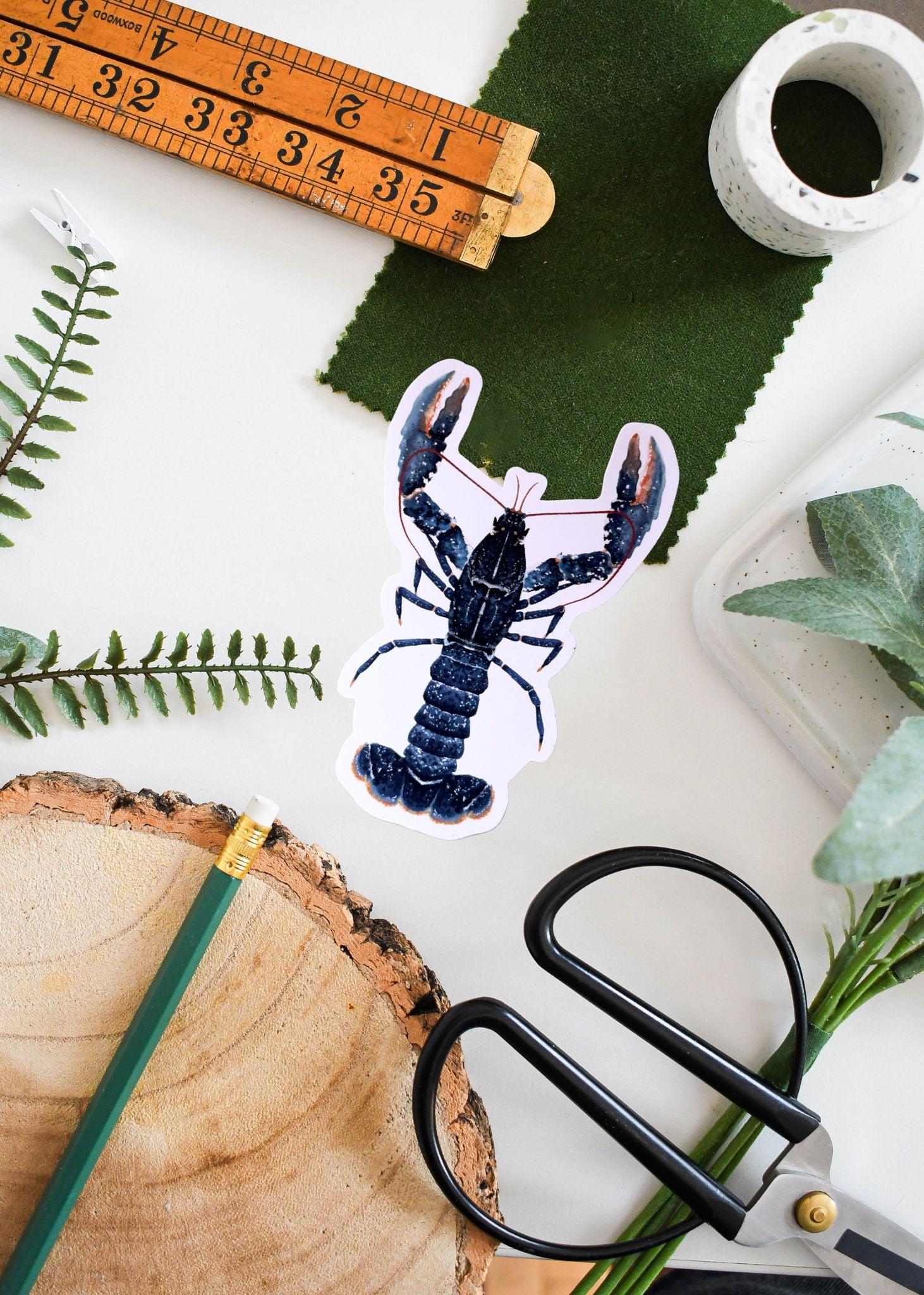 Common European Lobster Vinyl Sticker, Ocean Decor, Cute Crab Art, Marine Life, Waterproof & Durable, Gift for Lobster Lovers