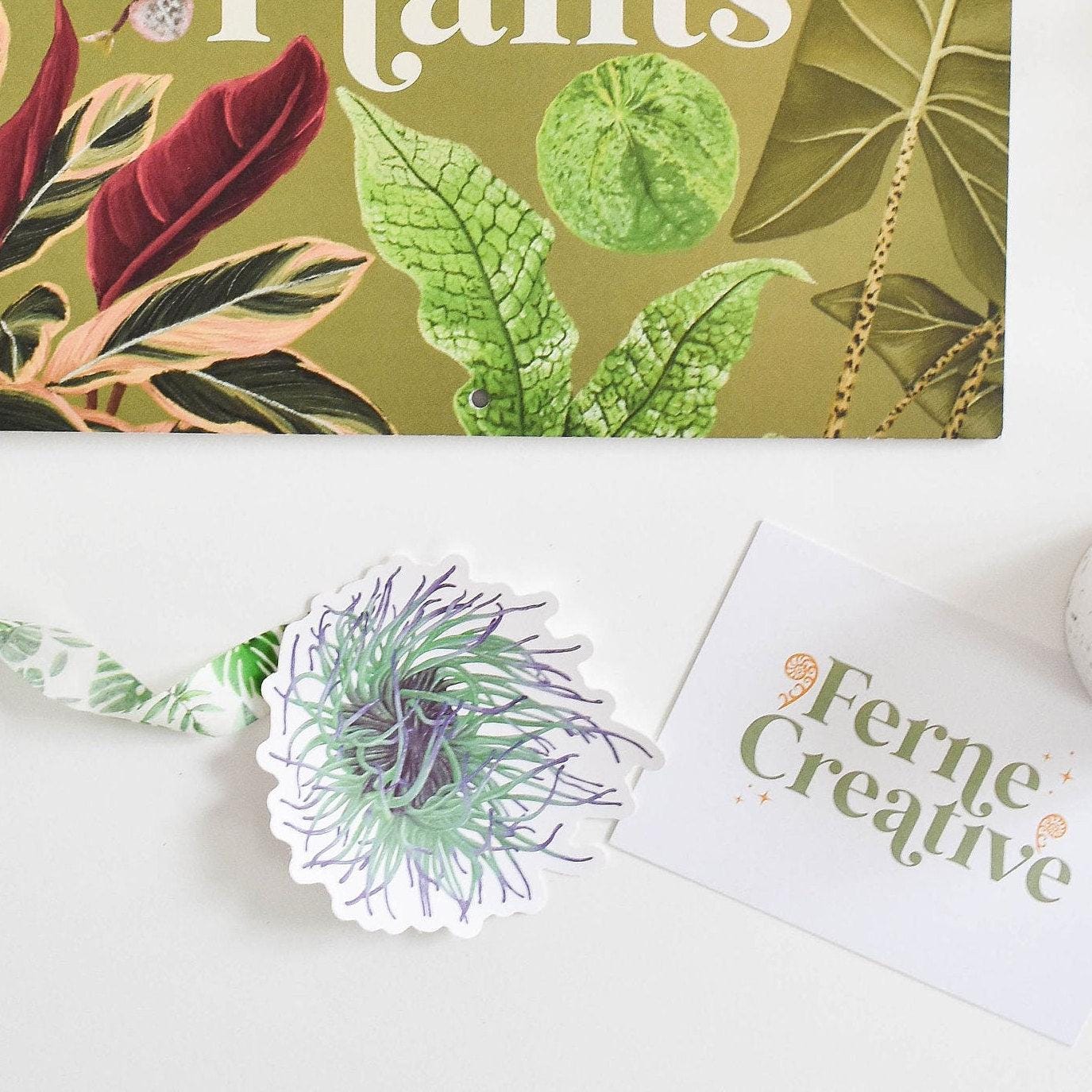 Anemone vinyl sticker, Laptop Stickers, Nature Sticker, Natural History, Ocean Stickers, Beach stickers, Ocean Lover Gift, Marine Life