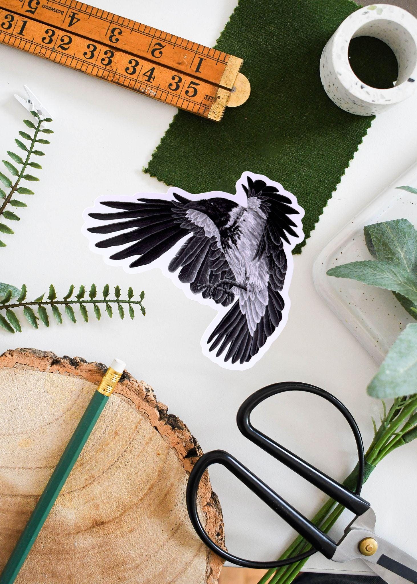 Hooded Crow Vinyl Sticker | Unique Bird Art Decal | Waterproof Durable | Perfect for Laptops, Water Bottles & Journals