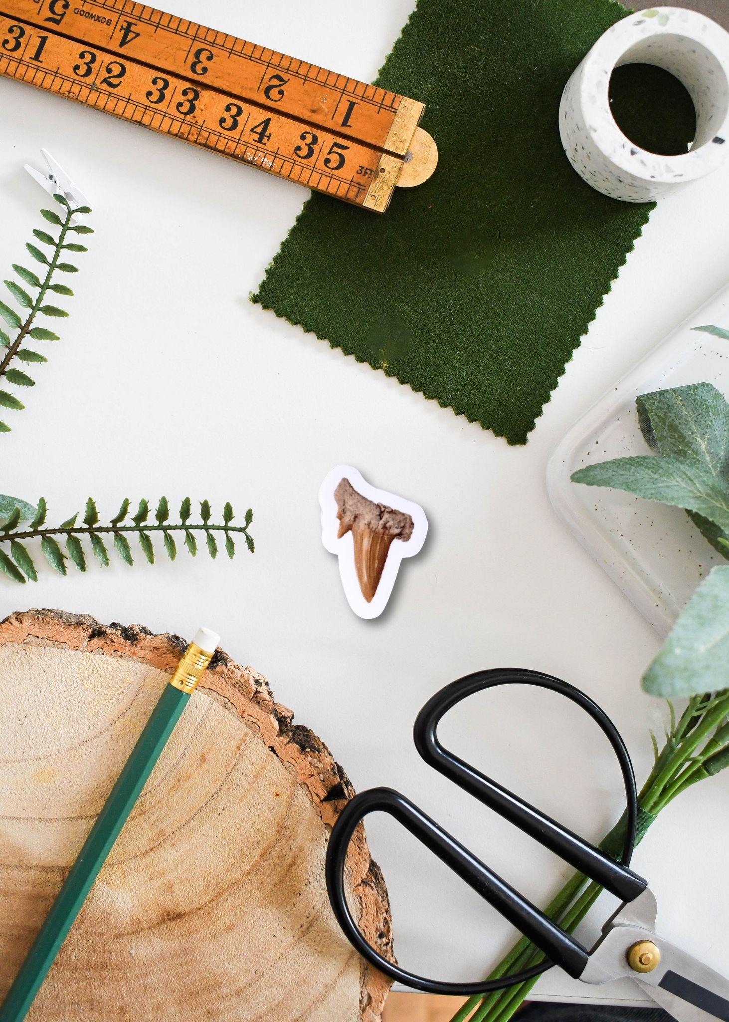 Prehistoric Shark Tooth Sticker