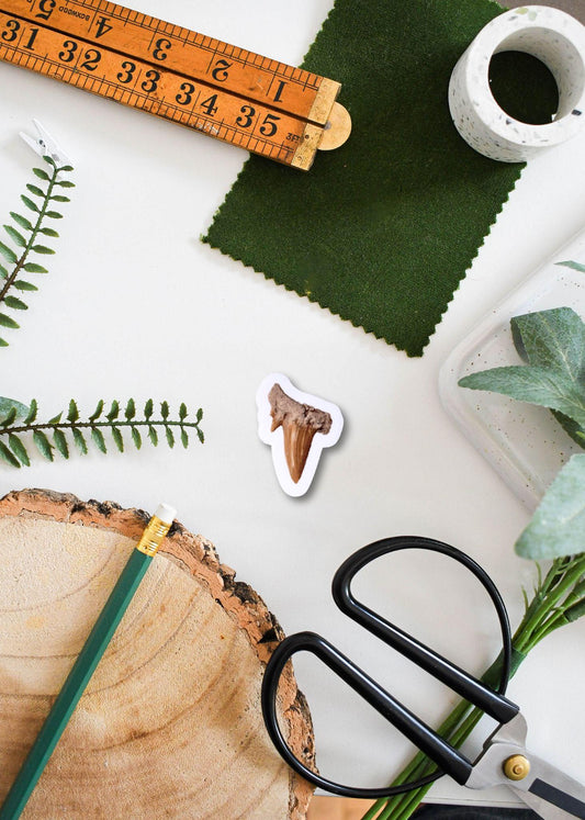 Prehistoric Shark Tooth Sticker