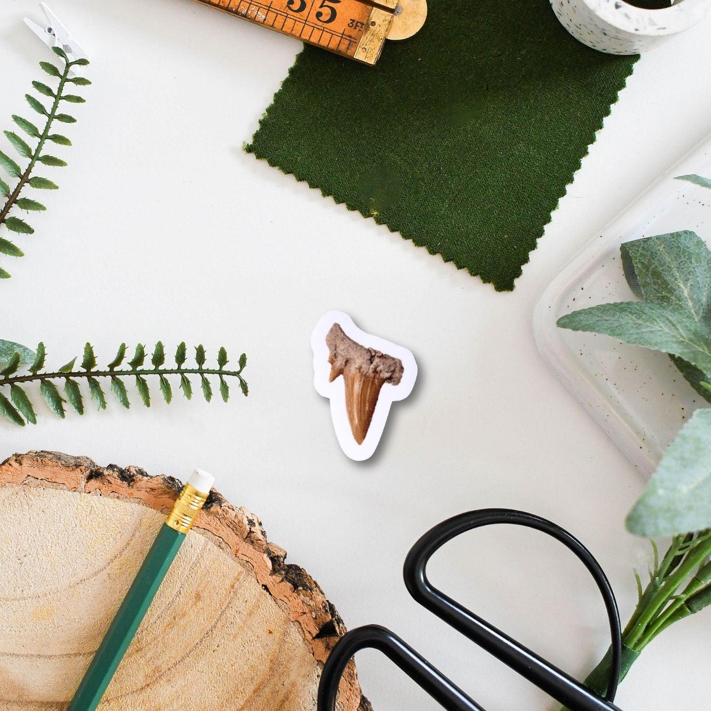 Prehistoric Shark Tooth Sticker
