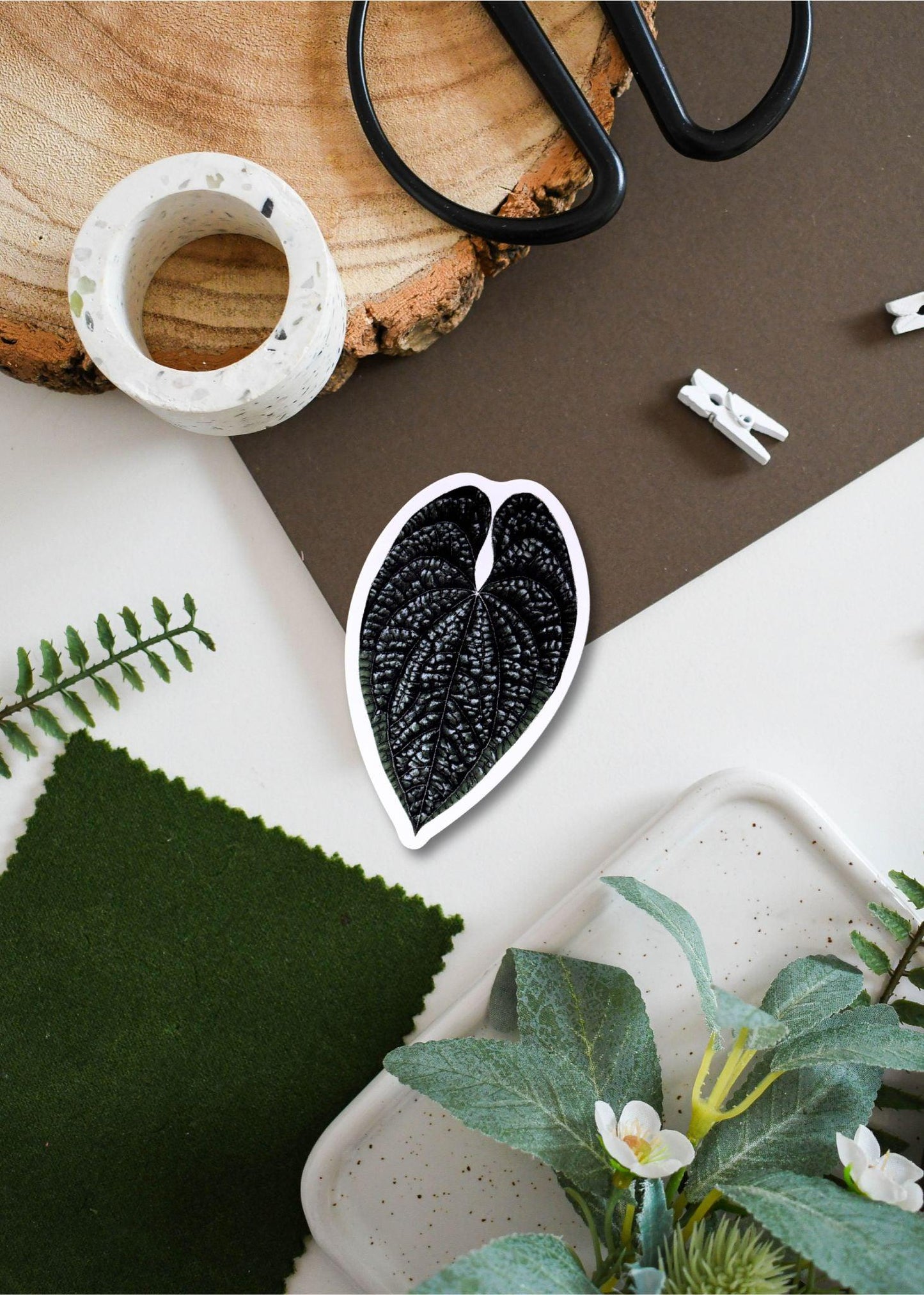 Anthurium luxurians Vinyl Sticker - Waterproof Plant Decal for Laptop, Water Bottle & Scrapbooking