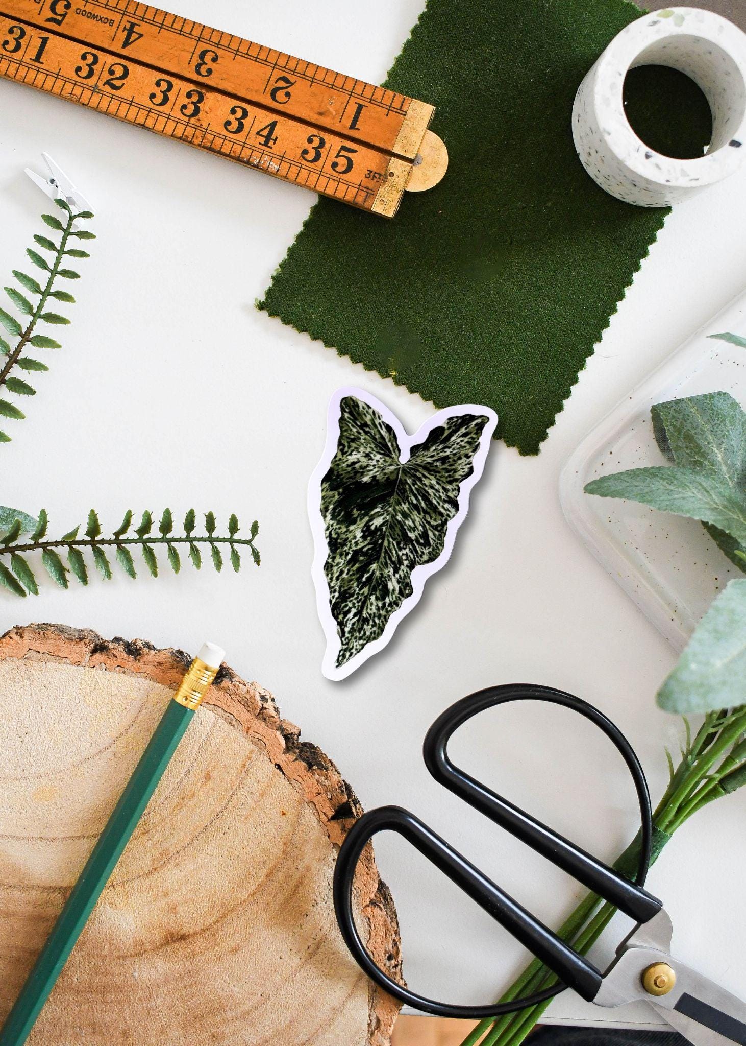 Syngonium Mojito Vinyl Sticker - Rare Plant Illustration Decal for Laptop, Water Bottle & Journal