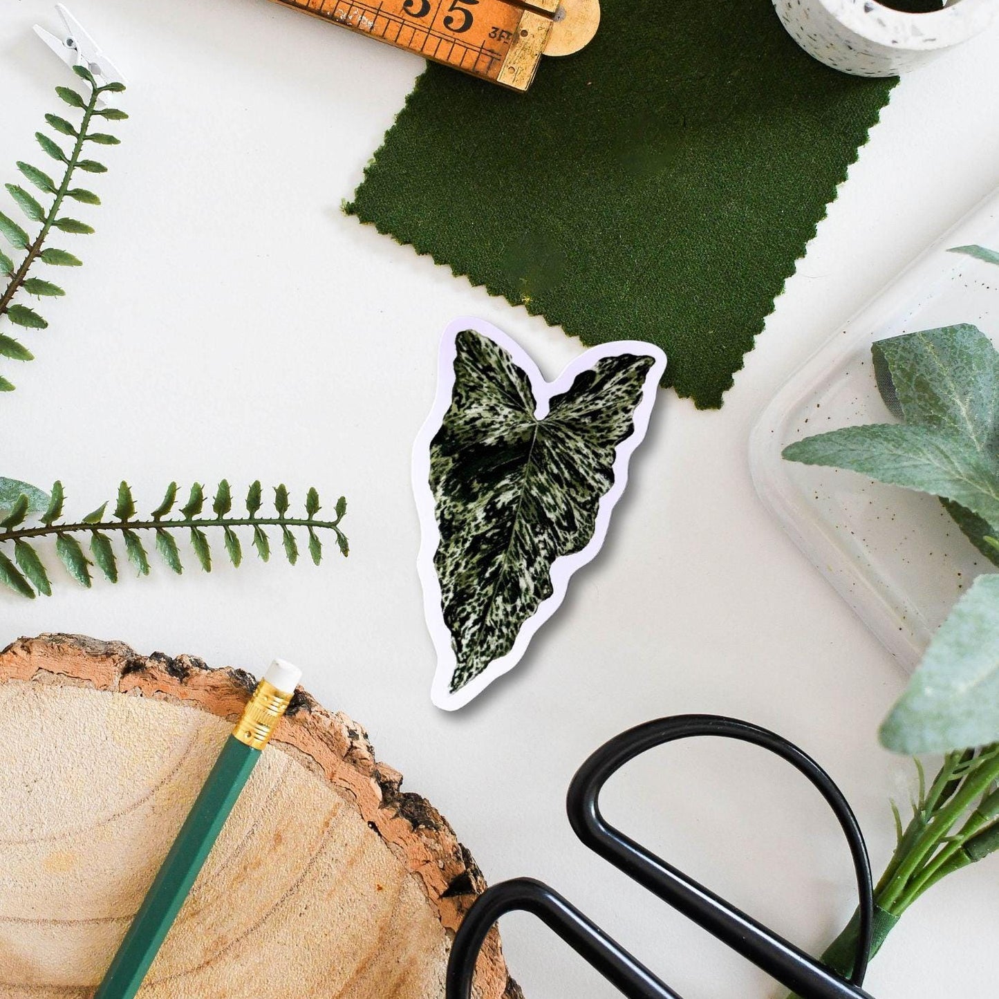 Syngonium Mojito Vinyl Sticker - Rare Plant Illustration Decal for Laptop, Water Bottle & Journal